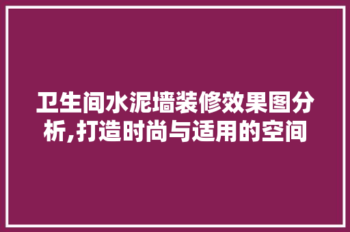 卫生间水泥墙装修效果图分析,打造时尚与适用的空间美学 软装设计