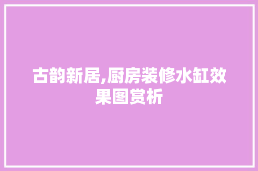 古韵新居,厨房装修水缸效果图赏析 现代风格装饰