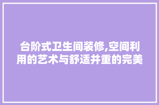 台阶式卫生间装修,空间利用的艺术与舒适并重的完美结合 家居装修