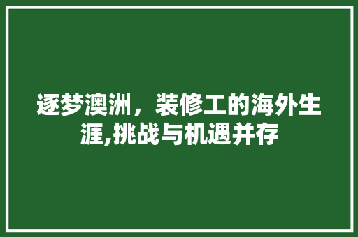 逐梦澳洲，装修工的海外生涯,挑战与机遇并存 中式风格装饰