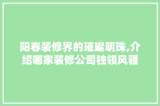 阳春装修界的璀璨明珠,介绍哪家装修公司独领风骚 家居装修
