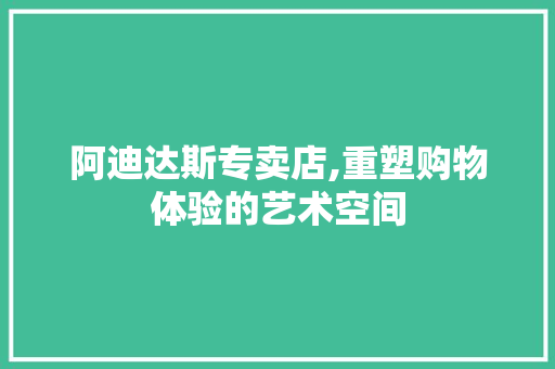 阿迪达斯专卖店,重塑购物体验的艺术空间 现代风格装饰