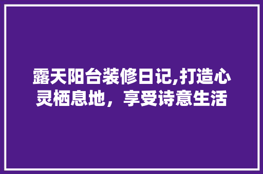露天阳台装修日记,打造心灵栖息地，享受诗意生活 现代风格装饰