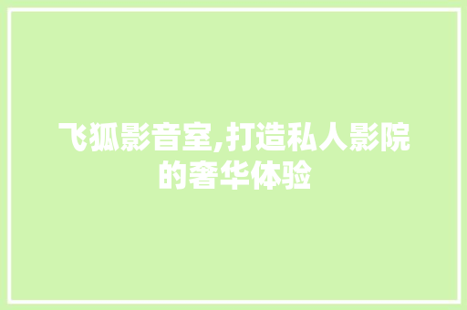 飞狐影音室,打造私人影院的奢华体验 木雕艺术