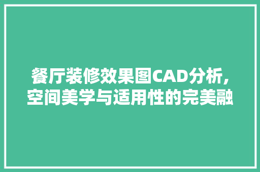 餐厅装修效果图CAD分析,空间美学与适用性的完美融合 室内设计