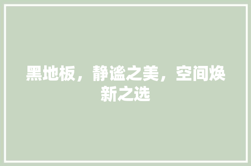 黑地板，静谧之美，空间焕新之选 地板材料