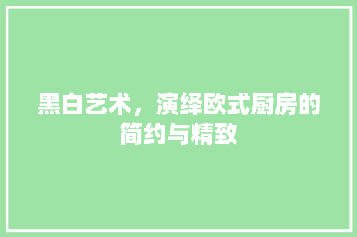 黑白艺术，演绎欧式厨房的简约与精致 客厅装修