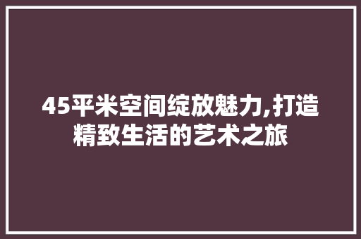 45平米空间绽放魅力,打造精致生活的艺术之旅 客厅装修