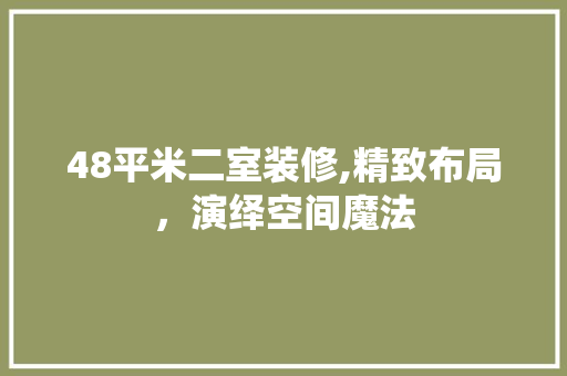 48平米二室装修,精致布局，演绎空间魔法 现代风格装饰