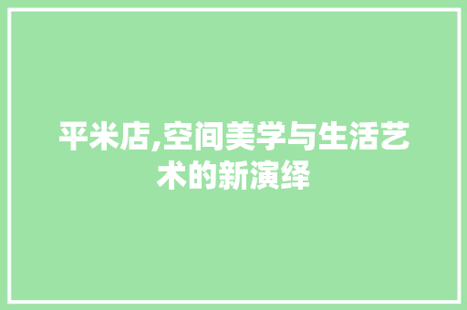 平米店,空间美学与生活艺术的新演绎 室内设计
