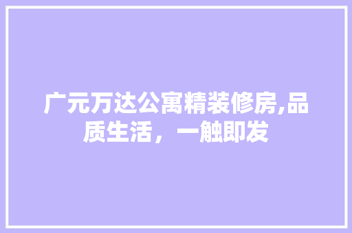 广元万达公寓精装修房,品质生活，一触即发 家居装修