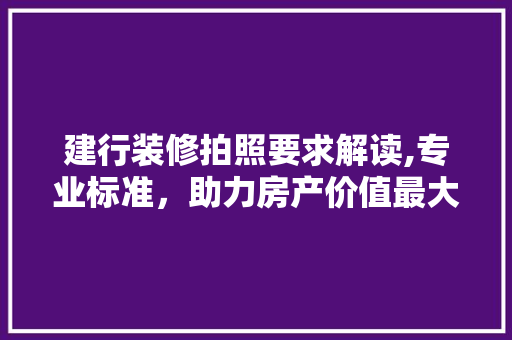 建行装修拍照要求解读,专业标准，助力房产价值最大化 地板材料