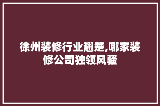 徐州装修行业翘楚,哪家装修公司独领风骚 客厅装修
