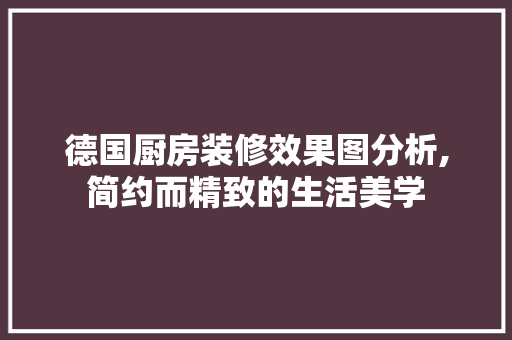 德国厨房装修效果图分析,简约而精致的生活美学 家居装修