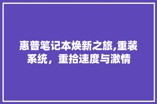 惠普笔记本焕新之旅,重装系统，重拾速度与激情 木雕艺术