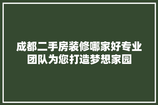 成都二手房装修哪家好专业团队为您打造梦想家园 现代风格装饰