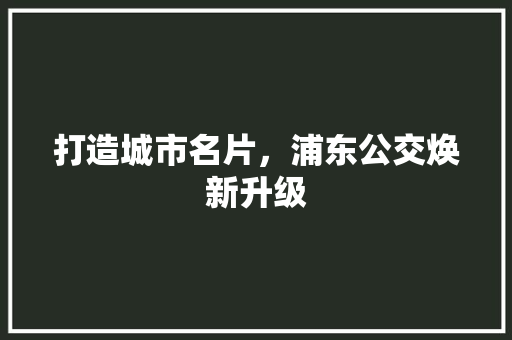 打造城市名片，浦东公交焕新升级