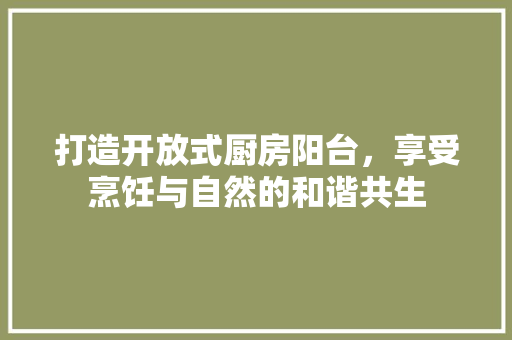 打造开放式厨房阳台，享受烹饪与自然的和谐共生 现代风格装饰