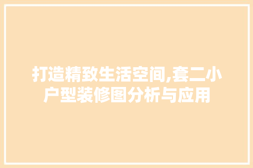 打造精致生活空间,套二小户型装修图分析与应用 地板材料