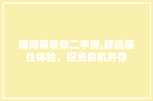 揭阳带装修二手房,舒适居住体验，投资良机并存 木雕艺术