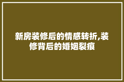 新房装修后的情感转折,装修背后的婚姻裂痕 现代风格装饰