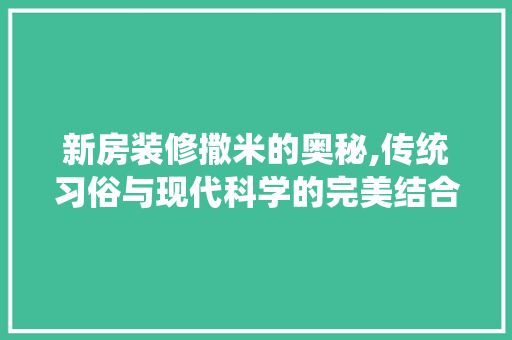 新房装修撒米的奥秘,传统习俗与现代科学的完美结合 软装设计