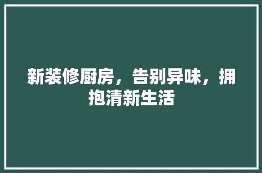 新装修厨房，告别异味，拥抱清新生活 现代风格装饰