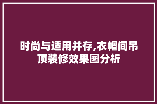 时尚与适用并存,衣帽间吊顶装修效果图分析