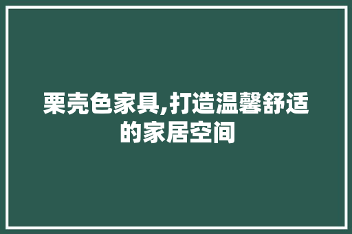 栗壳色家具,打造温馨舒适的家居空间 客厅装修
