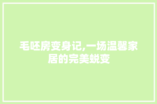毛呸房变身记,一场温馨家居的完美蜕变 现代风格装饰