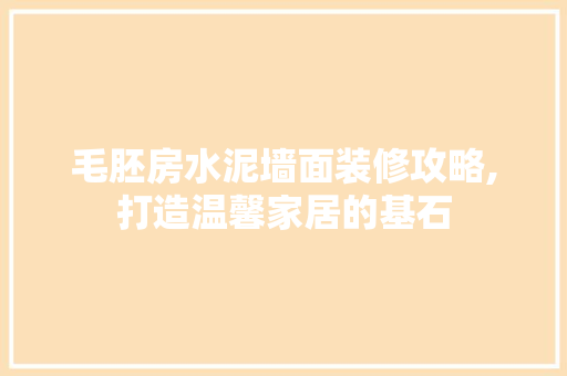 毛胚房水泥墙面装修攻略,打造温馨家居的基石 客厅装修