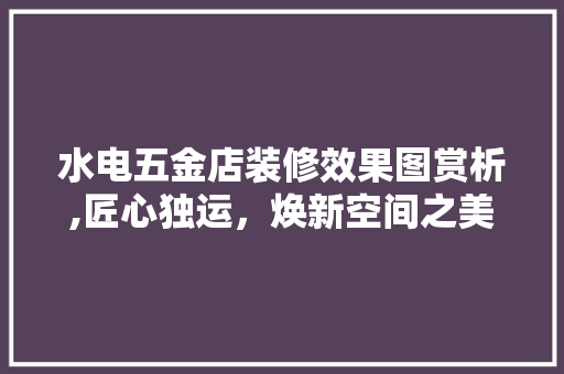 水电五金店装修效果图赏析,匠心独运，焕新空间之美 中式风格装饰