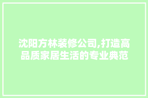沈阳方林装修公司,打造高品质家居生活的专业典范 家居装修