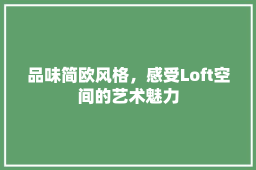 品味简欧风格，感受Loft空间的艺术魅力 中式风格装饰