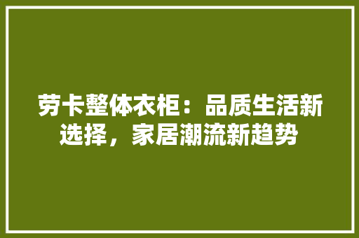 劳卡整体衣柜：品质生活新选择，家居潮流新趋势 家居装修