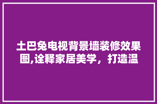 土巴兔电视背景墙装修效果图,诠释家居美学，打造温馨空间 软装设计