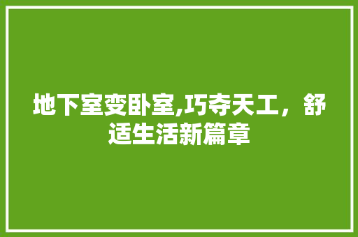地下室变卧室,巧夺天工，舒适生活新篇章 客厅装修