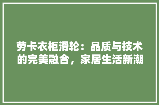 劳卡衣柜滑轮：品质与技术的完美融合，家居生活新潮流 家居装修