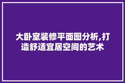 大卧室装修平面图分析,打造舒适宜居空间的艺术 室内设计
