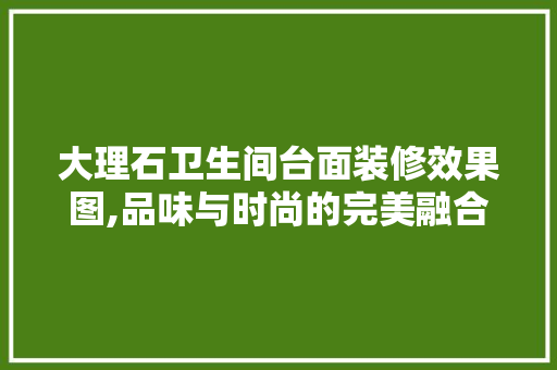 大理石卫生间台面装修效果图,品味与时尚的完美融合 客厅装修