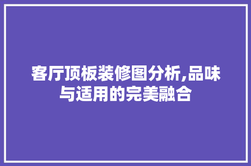 客厅顶板装修图分析,品味与适用的完美融合 现代风格装饰