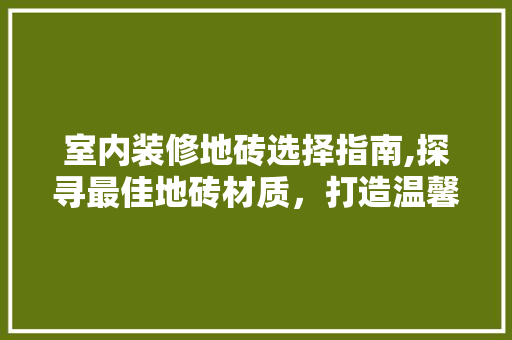 室内装修地砖选择指南,探寻最佳地砖材质，打造温馨家居环境 木雕艺术