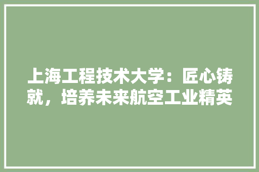 上海工程技术大学：匠心铸就，培养未来航空工业精英 地板材料