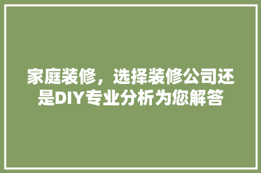 家庭装修，选择装修公司还是DIY专业分析为您解答 家居装修