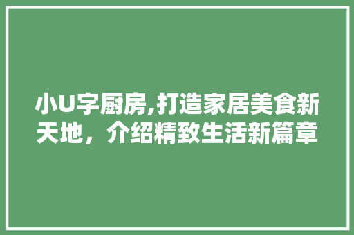 小U字厨房,打造家居美食新天地，介绍精致生活新篇章 木雕艺术