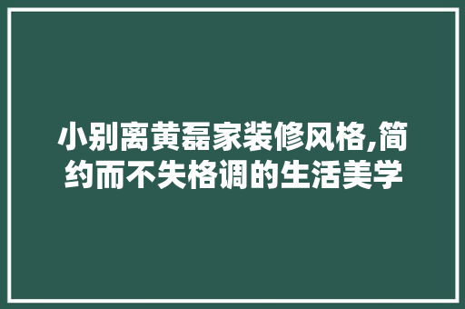小别离黄磊家装修风格,简约而不失格调的生活美学 现代风格装饰