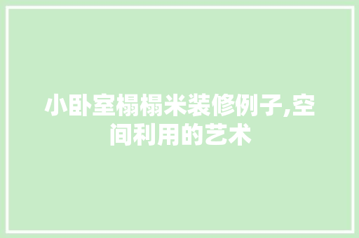 小卧室榻榻米装修例子,空间利用的艺术 现代风格装饰