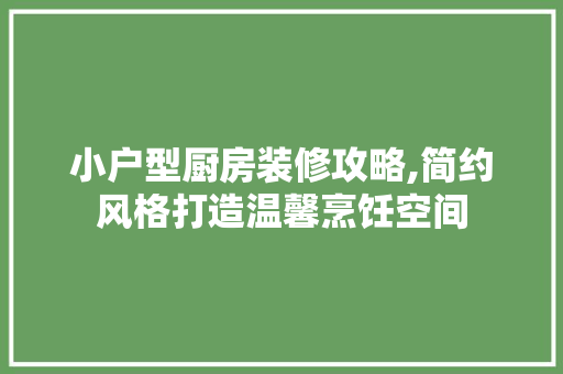 小户型厨房装修攻略,简约风格打造温馨烹饪空间 家居装修