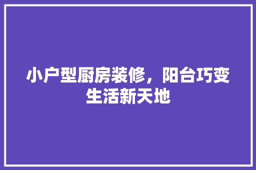 小户型厨房装修，阳台巧变生活新天地 客厅装修