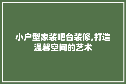 小户型家装吧台装修,打造温馨空间的艺术 地板材料